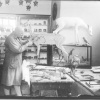 Heinrich Michanikl při preparování výstavních exponátů