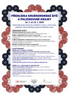 PŘEHLÍDKA KRUŠNOHORSKÉ ŠITÉ A PALIČKOVANÉ KRAJKY 1