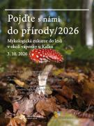 plakát